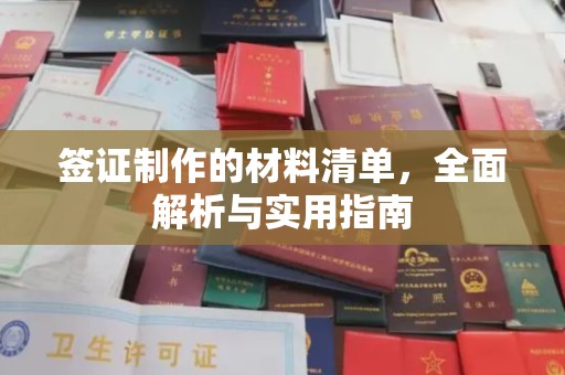 沙雅签证制作的材料清单，全面解析与实用指南